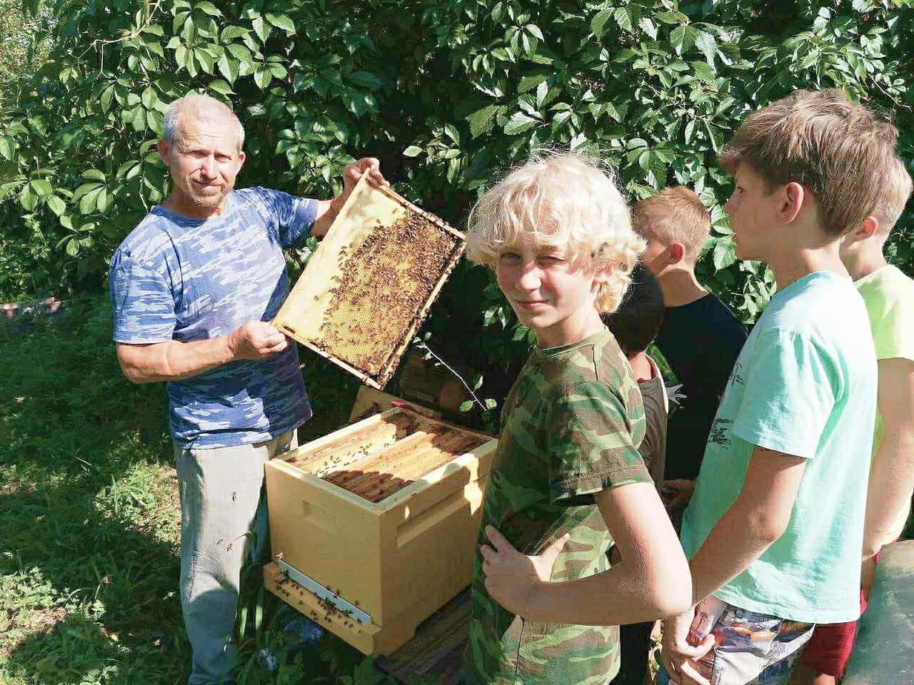 Владимир показывает детям пчелиный улик на фоне зелени