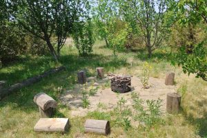 Каменный очаг с мангалом и пеньками для отдыха в зелёной зоне